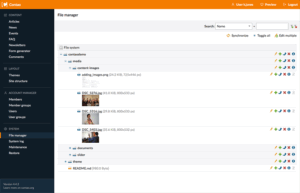 Contao CMS: профессиональная система управления контентом для корпоративных сайтов